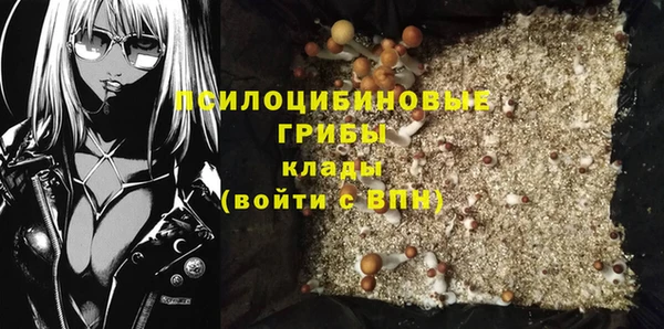 а пвп мука Богданович